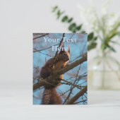 Rotes Eichhörnchen Postkarte (Stehend Vorderseite)