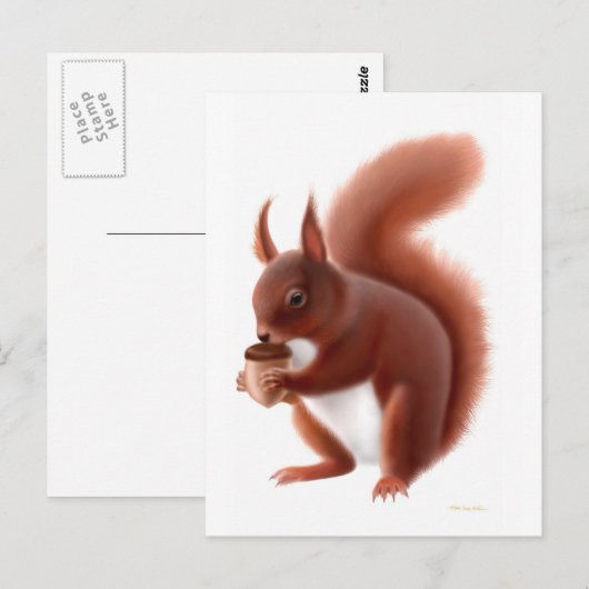 Rotes Eichhörnchen Postkarte (Vorne/Hinten)