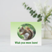 Rotes Eichhörnchen Postkarte (Stehend Vorderseite)