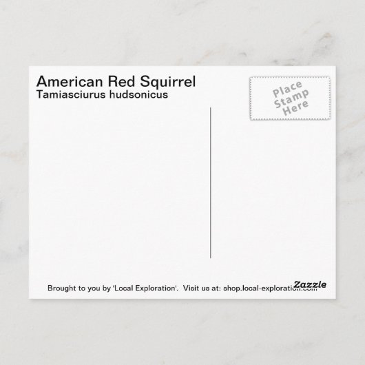 Rotes Eichhörnchen Postkarte (Rückseite)