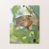 Rotes Eichhörnchen Puzzle (Vertikal)