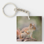 Rotes Eichhörnchen Schlüsselanhänger (Vorderseite)