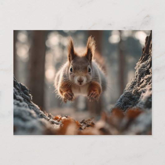 Rotes Eichhörnchen springt im frostigen Wald Postkarte (Vorderseite)