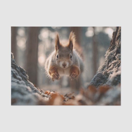 Rotes Eichhörnchen springt im frostigen Wald Seidenpapier (Vorderseite)