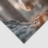 Rotes Eichhörnchen springt im frostigen Wald Seidenpapier (Ausschnitt)