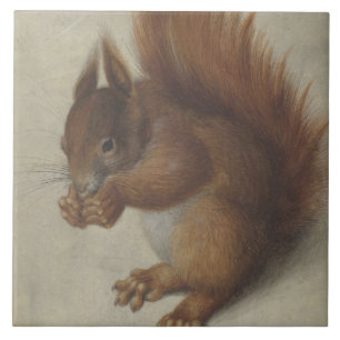 Rotes Eichhörnchen (von Hans Hoffmann) Fliese