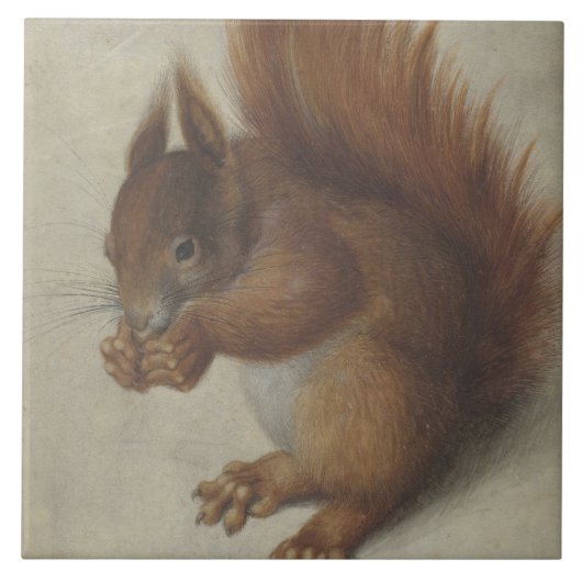 Rotes Eichhörnchen (von Hans Hoffmann) Fliese (Vorderseite)