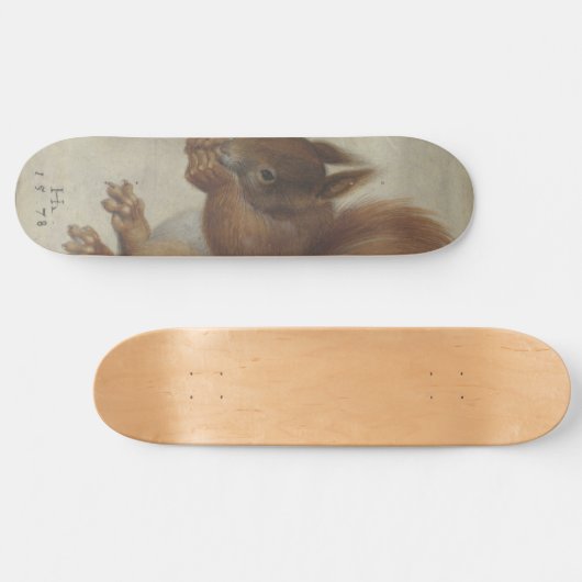 Rotes Eichhörnchen (von Hans Hoffmann) Skateboard (Horizontal)