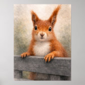 Rotes Eichhörnchen-Wald-Wildleben Poster (Vorne)