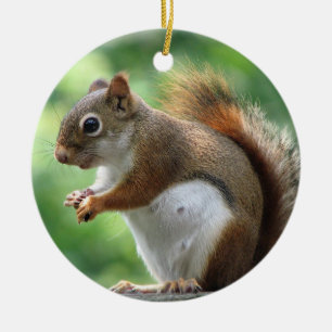 Rotes Eichhörnchen-Weihnachtsverzierung Keramikornament