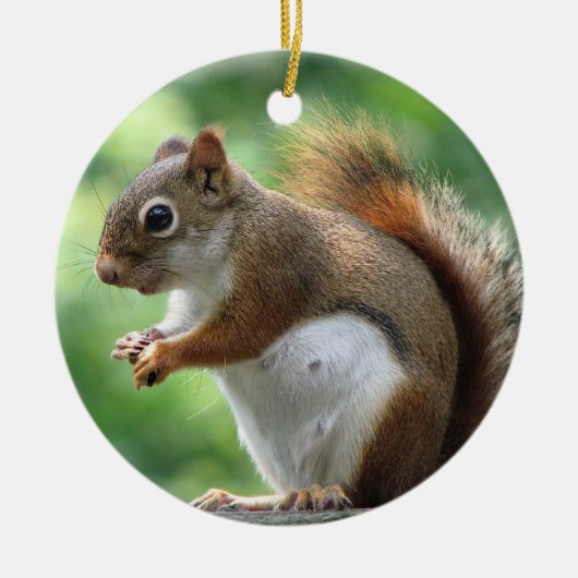 Rotes Eichhörnchen-Weihnachtsverzierung Keramikornament (Vorne)