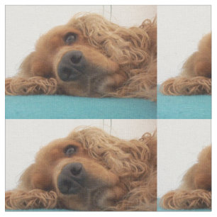 rotes Englisch cocker spaniel 2.png Stoff