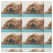 rotes Englisch cocker spaniel 2.png Stoff (Muster)