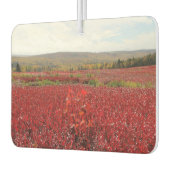 Rotes Feld Autolufterfrischer (Links)