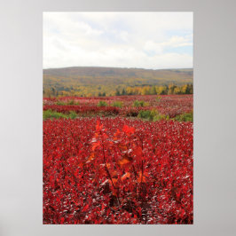 Rotes Feld Poster