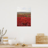 Rotes Feld Poster (Küche)