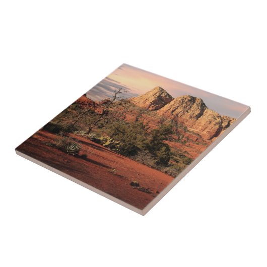 Rotes Felsen-Land Fliese (Seite)