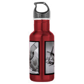 Rotes Flugzeug Edelstahlflasche (Rückseite)