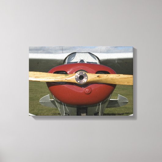 Rotes Flugzeug und Holzschrauber Leinwanddruck (Vorderseite)