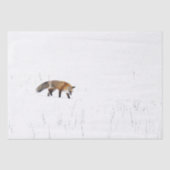 ROTES FOX AUF SCHNEETISSUPAPIER SEIDENPAPIER (Vorderseite)