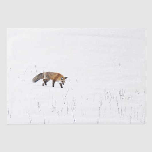 ROTES FOX AUF SCHNEETISSUPAPIER SEIDENPAPIER (Vorderseite)