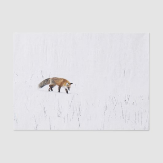 ROTES FOX AUF SCHNEETISSUPAPIER SEIDENPAPIER (Vorderseite)