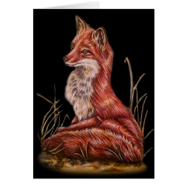 Rotes Fox-Tierkunst-Zeichnen (Vorne)