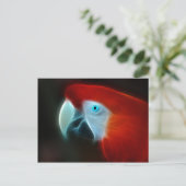 Rotes Fraktal Papagei Postkarte (Stehend Vorderseite)