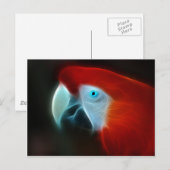 Rotes Fraktal Papagei Postkarte (Vorne/Hinten)