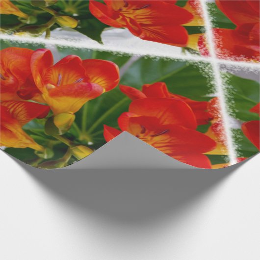 Rotes Freesie Geschenkpapier (Ecke)