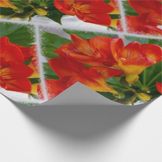 Rotes Freesie Geschenkpapier (Ecke)