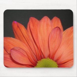 Rotes Gänseblümchen Mousepad