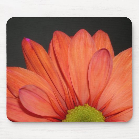Rotes Gänseblümchen Mousepad (Vorne)
