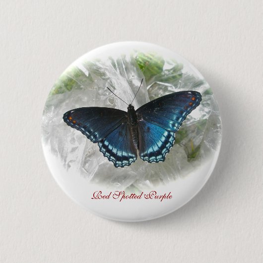 Rotes Gepunktetes Lila Butterfly-Abzeichen Button (Vorderseite)