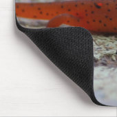 Rotes gepunktetes Newt mousepad (Ecke)