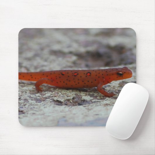 Rotes gepunktetes Newt mousepad (Mit Mouse)