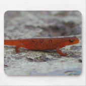 Rotes gepunktetes Newt mousepad (Vorne)