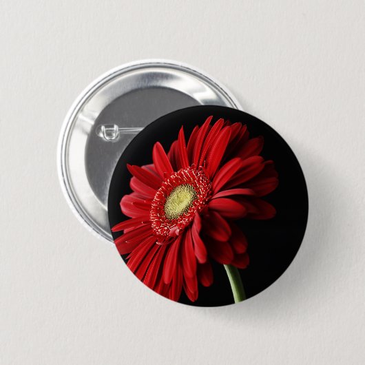 Rotes Gerber Gänseblümchen-Button Button (Vorne & Hinten)