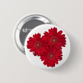 Rotes Gerber Gänseblümchen-nahe hohe Fotografien Button (Vorne & Hinten)