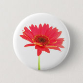 Rotes Gerbera-Gänseblümchen-Blumenknopf Button (Vorderseite)