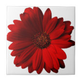 Rotes Gerbera-Gänseblümchen Fliese (Vorderseite)