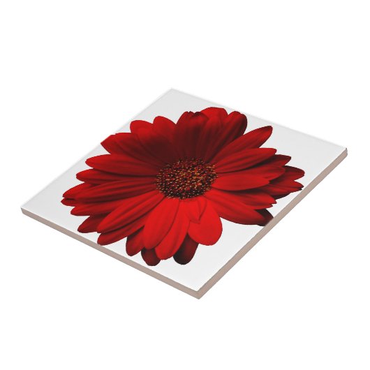 Rotes Gerbera-Gänseblümchen Fliese (Seite)