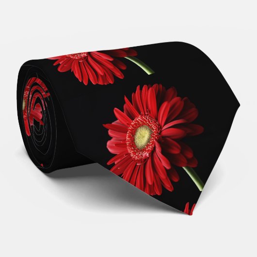 Rotes Gerbera-Gänseblümchen Krawatte (Gerollt)