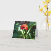 Rotes Gerbera-Gänseblümchen notecard Karte (Gelbe Blume)