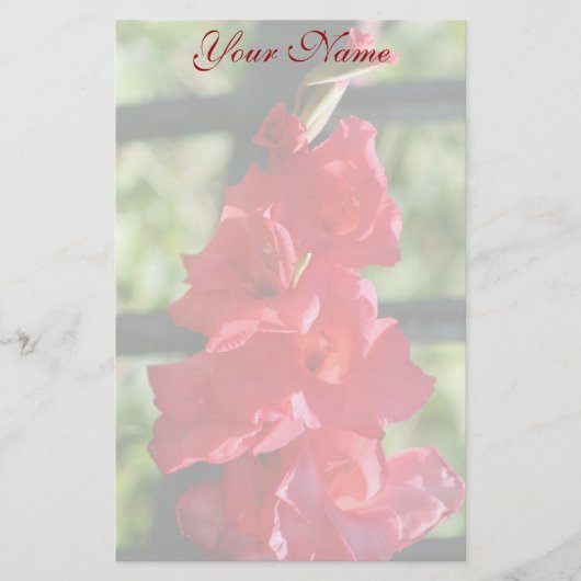 Rotes Gladiola stationär Briefpapier (Vorderseite)