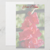 Rotes Gladiola stationär Briefpapier (Vorne/Hinten)