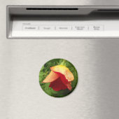 Rotes Gold Rose Petals Raindrops Foto Magnet (In Situ (Geschirrspüler))