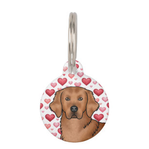 Rotes Golden Retriever-Hund-Porträt mit süßen Herz Haustiermarke