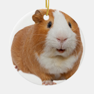 Rotes Guinea Keramik Ornament