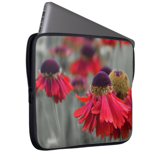 Rotes Helenium in selektiven Farben - desaturiert Laptopschutzhülle (Vorne Rechts)